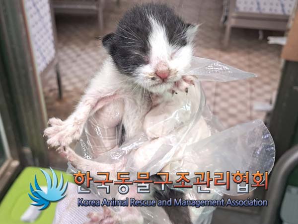 종료(자연사) 한국…